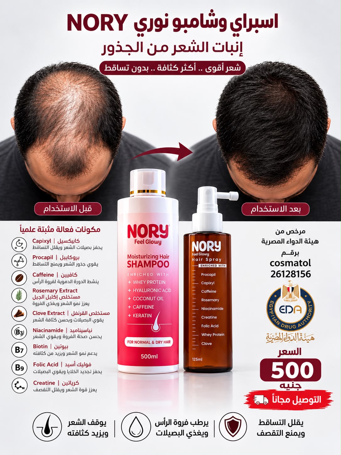 NORY Hair Fall Care Duo